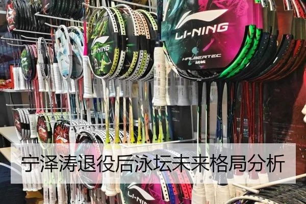 宁泽涛退役后泳坛未来格局分析