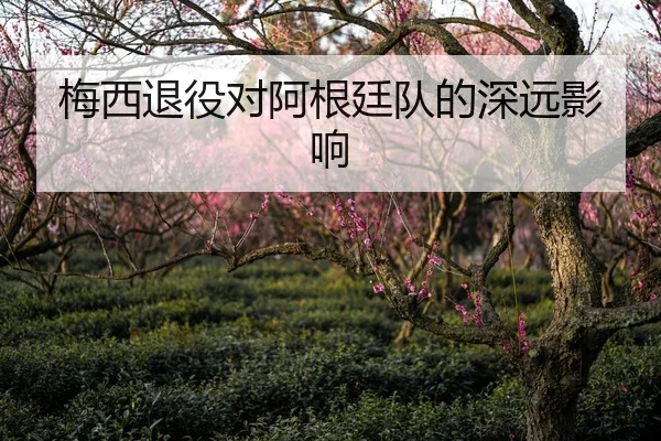 梅西退役对阿根廷队的深远影响