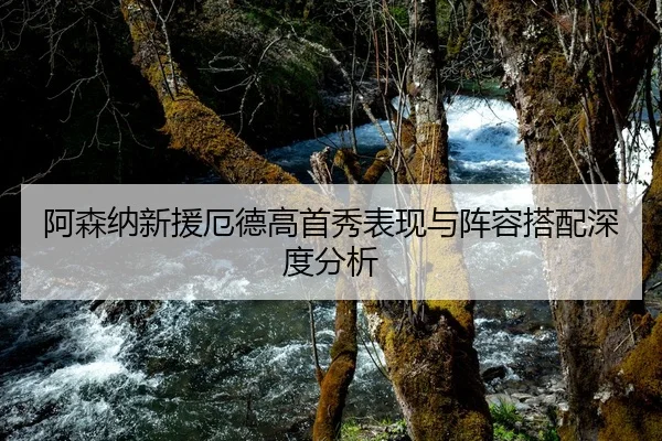 阿森纳新援厄德高首秀表现与阵容搭配深度分析